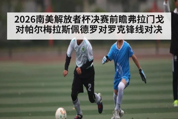 2026南美解放者杯决赛前瞻弗拉门戈对帕尔梅拉斯佩德罗对罗克锋线对决（kaiyun）