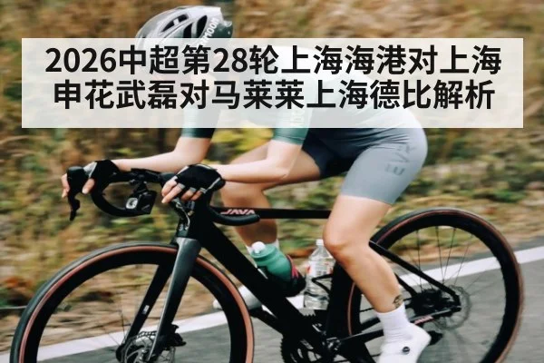 2026中超第28轮上海海港对上海申花武磊对马莱莱上海德比解析