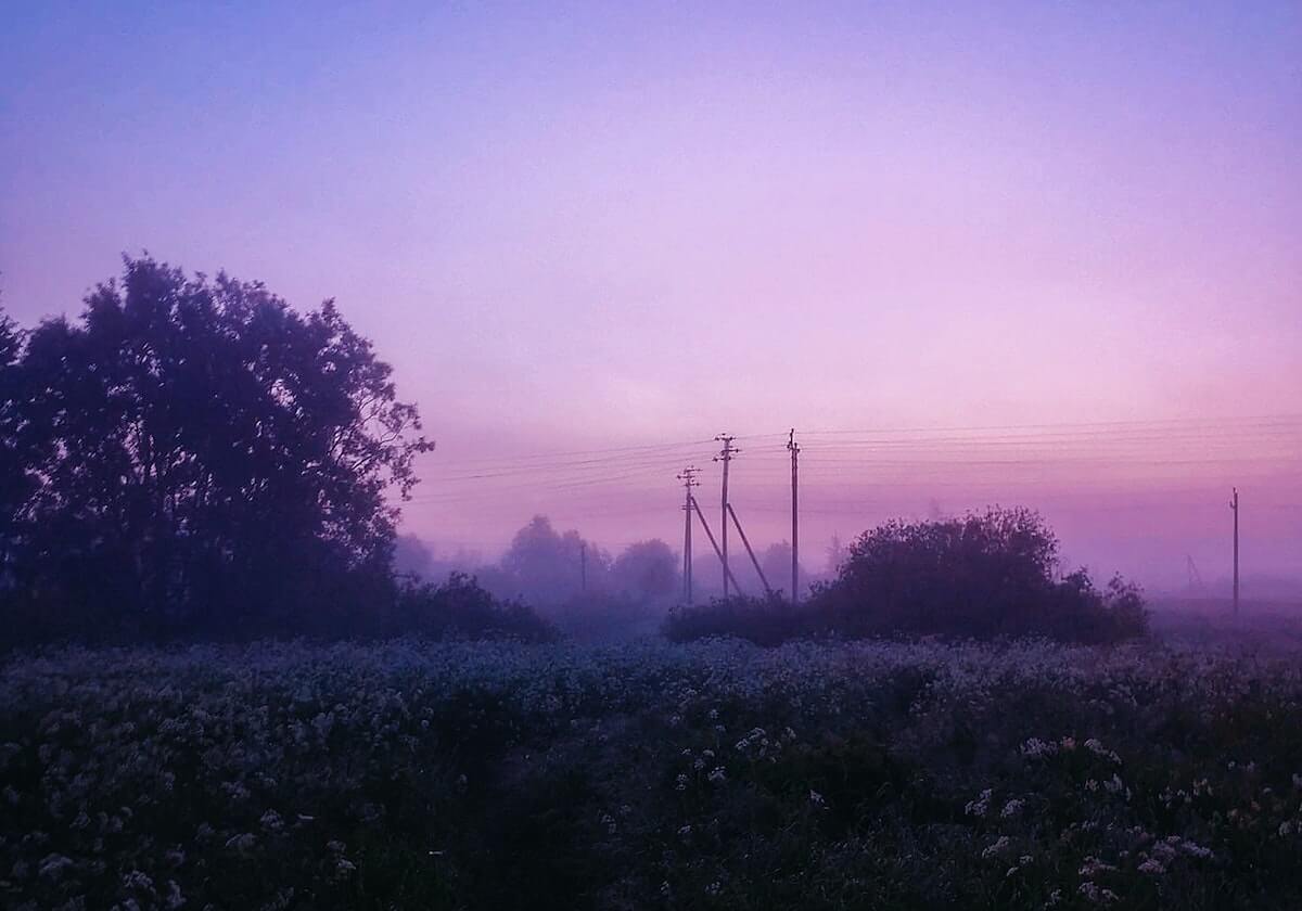 张镇麟15+5李弘权16分 上海逆转山西豪取13连胜
